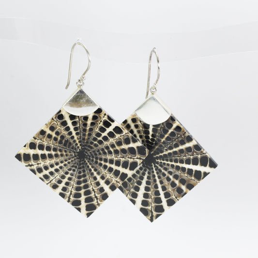 Spider shell earrings dangle set in 925 sterling silver, square shell dangle earrings